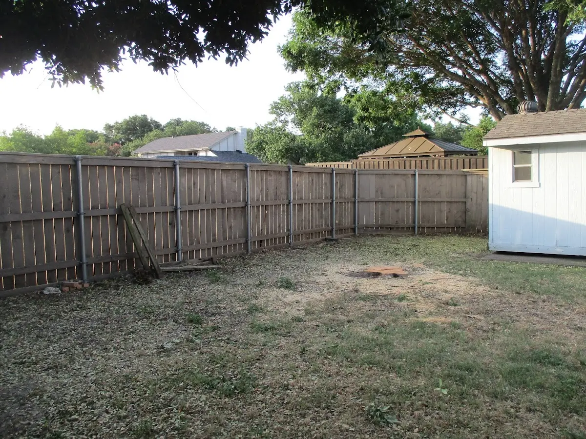 Cleared yard after professional tree removal in Harriman