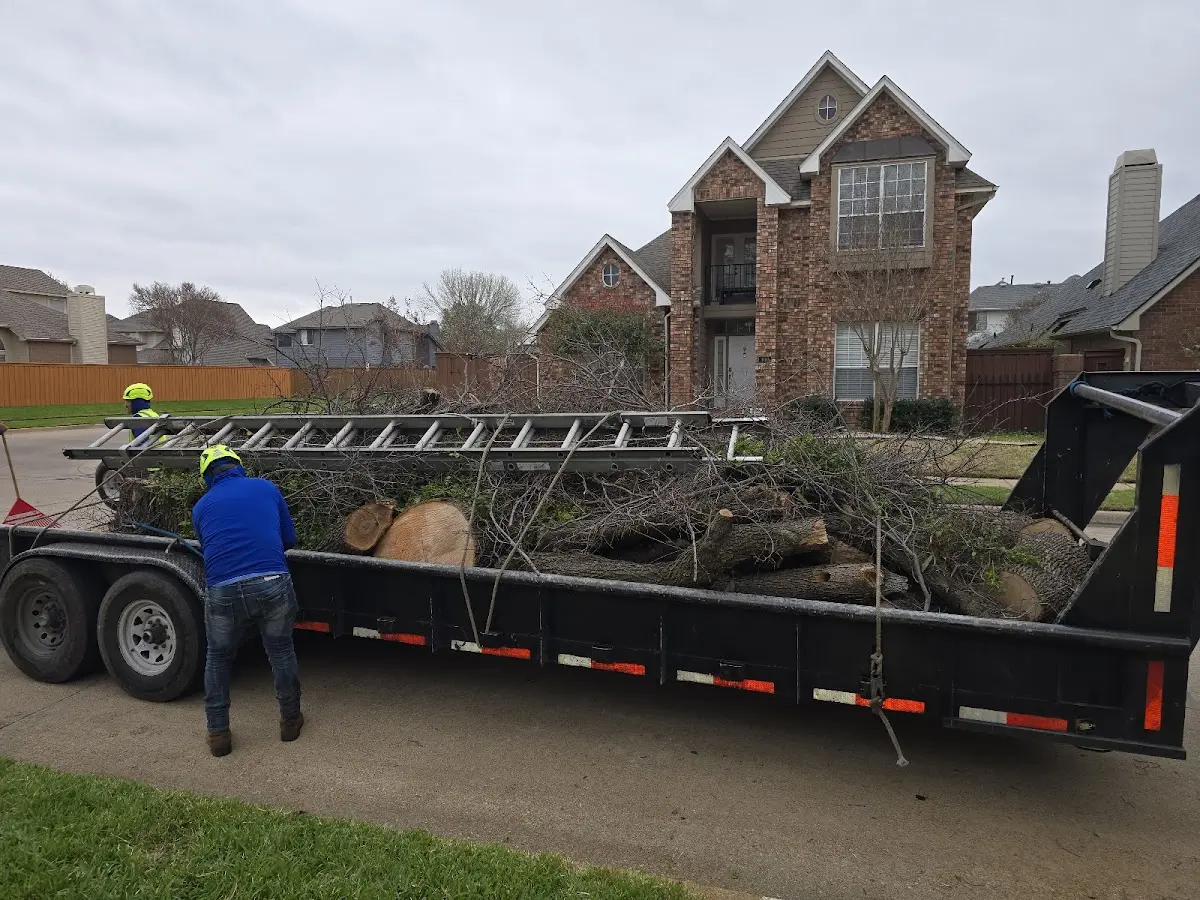 Expert Tree Removal with proper safety equipment in Harriman